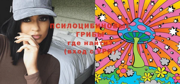 хмурый Щучье