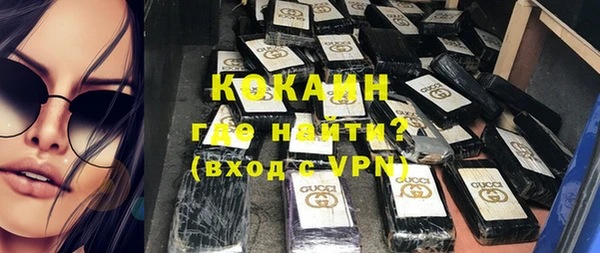 спайс Гусев