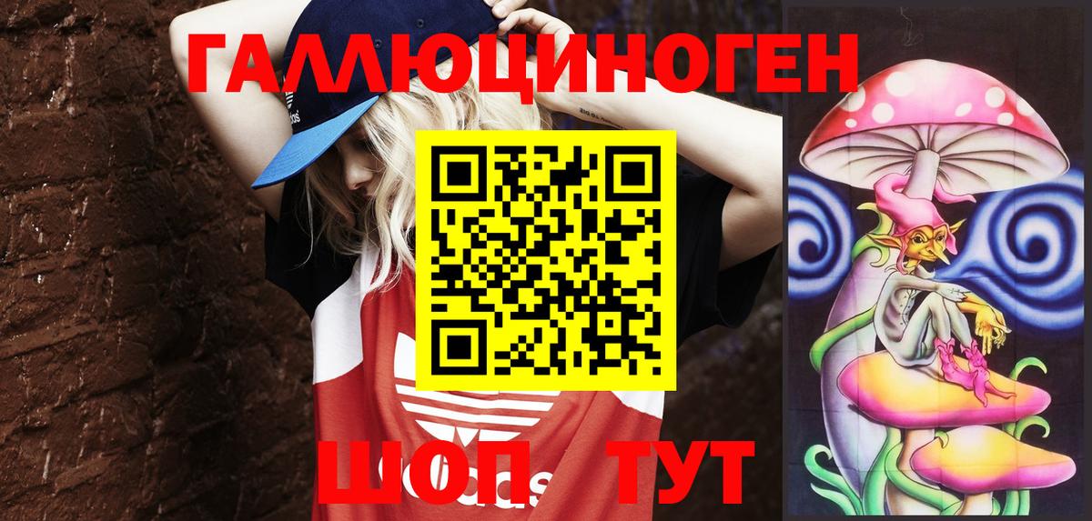 Осинники  Псилоцибиновые грибы Psilocybine cubensis  Вход с VPN  Псилоцибиновые грибы Psilocybine cubensis 